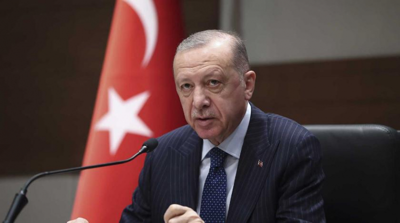 Эрдоган пытается организовать встречу Путина и Зеленского в Турции