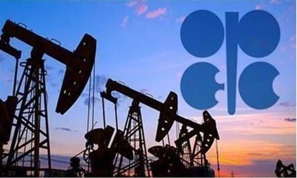 Министры мониторинга ОПЕК+ начали переговоры по уровням добычи нефти в декабре