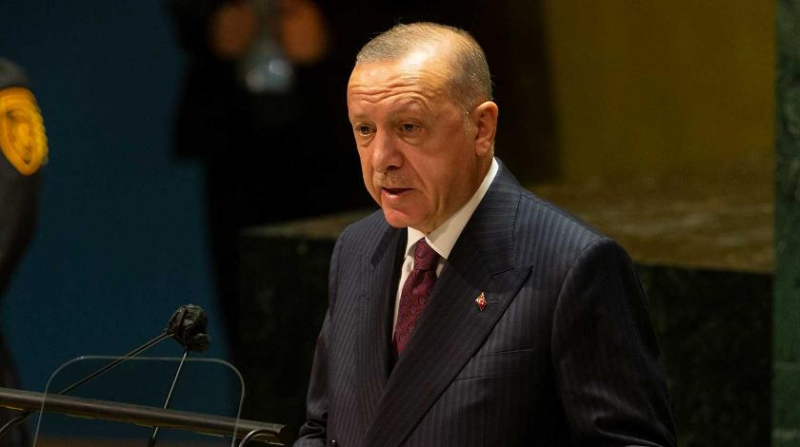 "Немножко попугал": почему Эрдоган передумал выгонять послов десяти стран