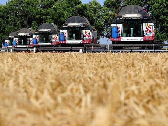 Понижен прогноз по сбору зерна в России