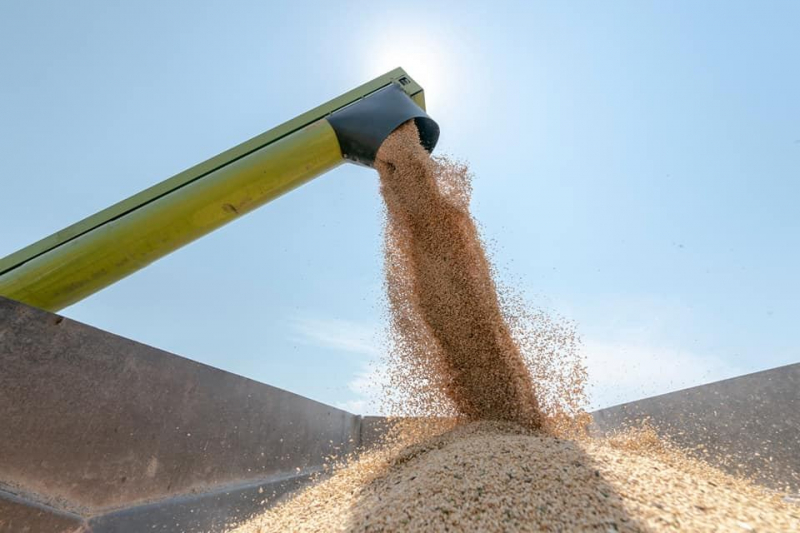 Пошлина на экспорт пшеницы из России с 10 ноября вырастет до $69,9 за тонну