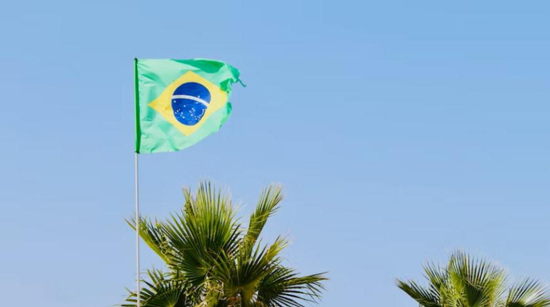 Президент Бразилии влепил Шольцу звонкую пощечину 