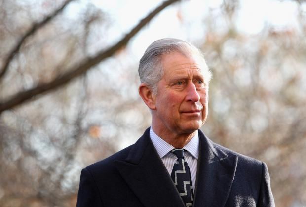 Принц Чарльз призвал инвестировать в климат, чтобы вернуться к гармонии с природой