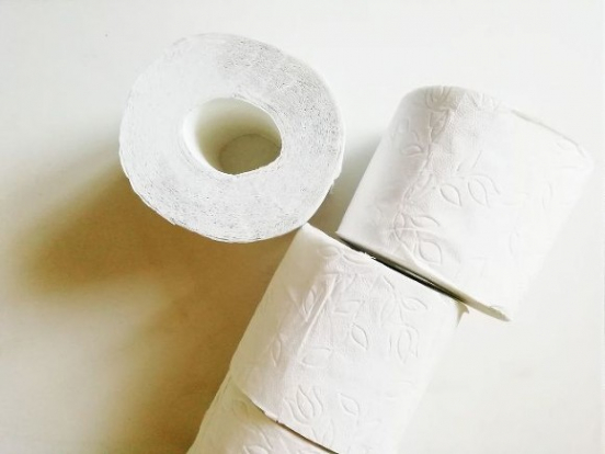 Россиянам в качестве импортозамещения предложат каменную туалетную бумагу